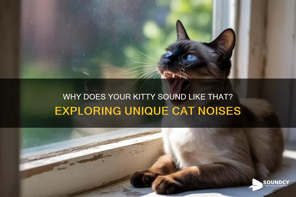 does kitty sound like that