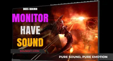 Does the Koorui Monitor Include Built-in Speakers for Audio Output?