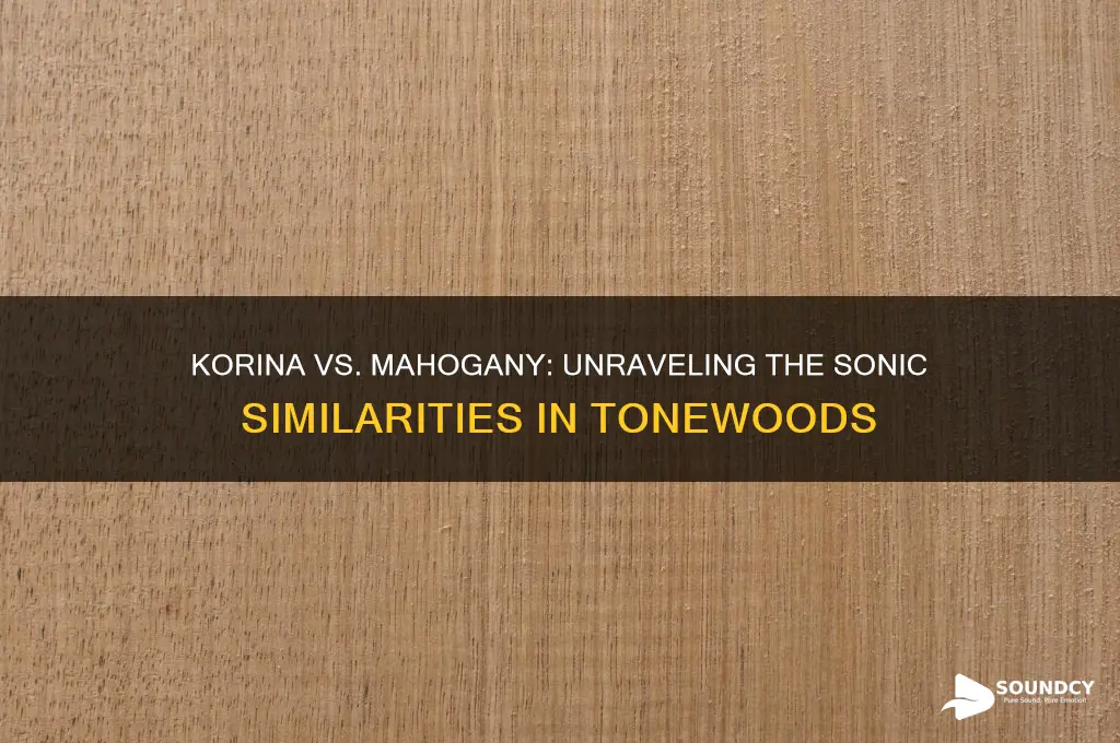 does korina sound like mahogany