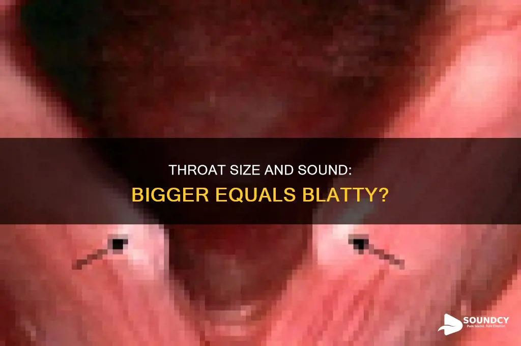 does larger throat equal blattier sound