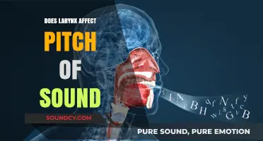 How the Larynx Influences Pitch Production