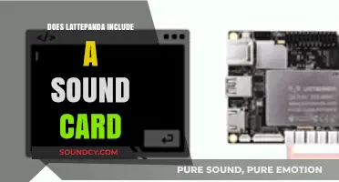 Laptop Essentials: LattePanda's Sound Card Inclusion