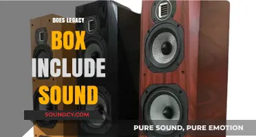 Does Legacy Box Preserve Audio? Unveiling Sound Inclusion in Legacy Box