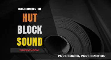 Leomund's Tiny Hut: Soundproof or Not?