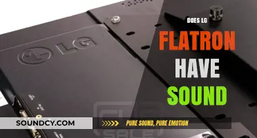 Does LG Flatron Have Sound? Exploring Audio Features and Capabilities