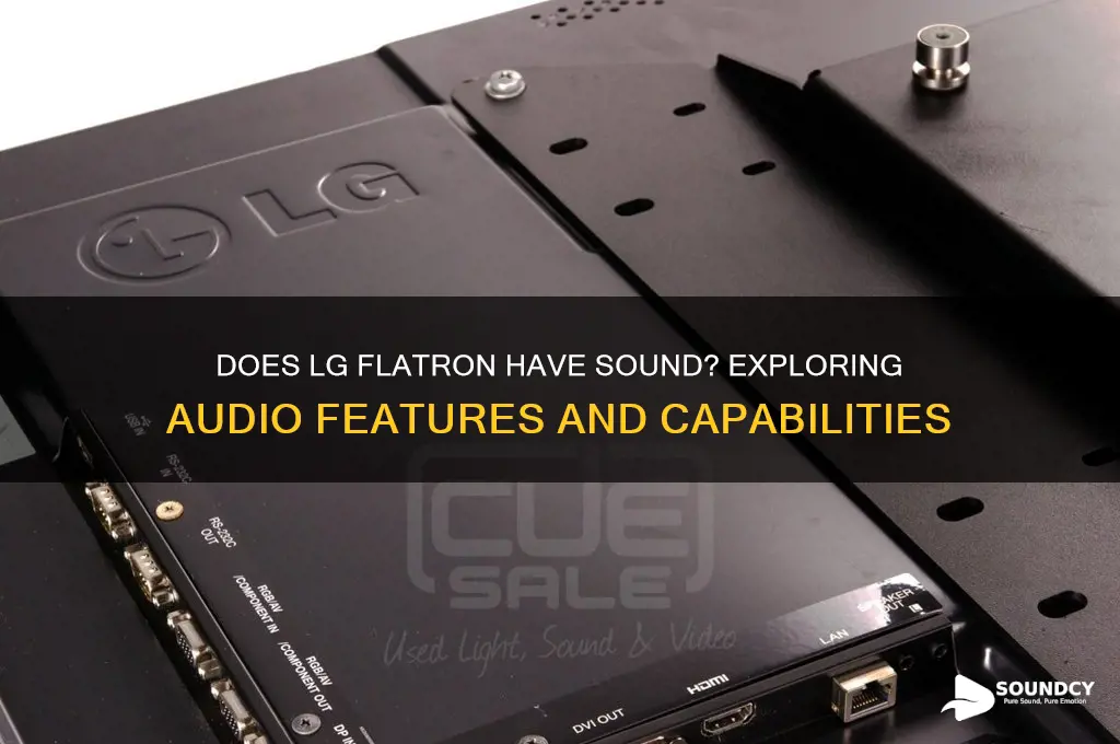 does lg flatron have sound