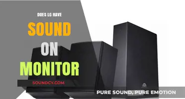 LG Monitor Audio: What's the Deal?