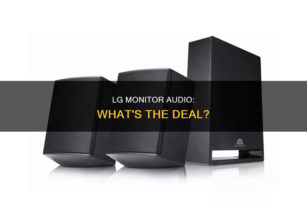 does lg have sound on monitor