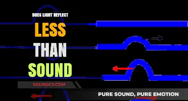 Understanding Light and Sound Reflection