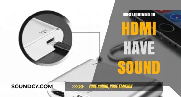 HDMI Adapters: Do They Carry Audio Signals?