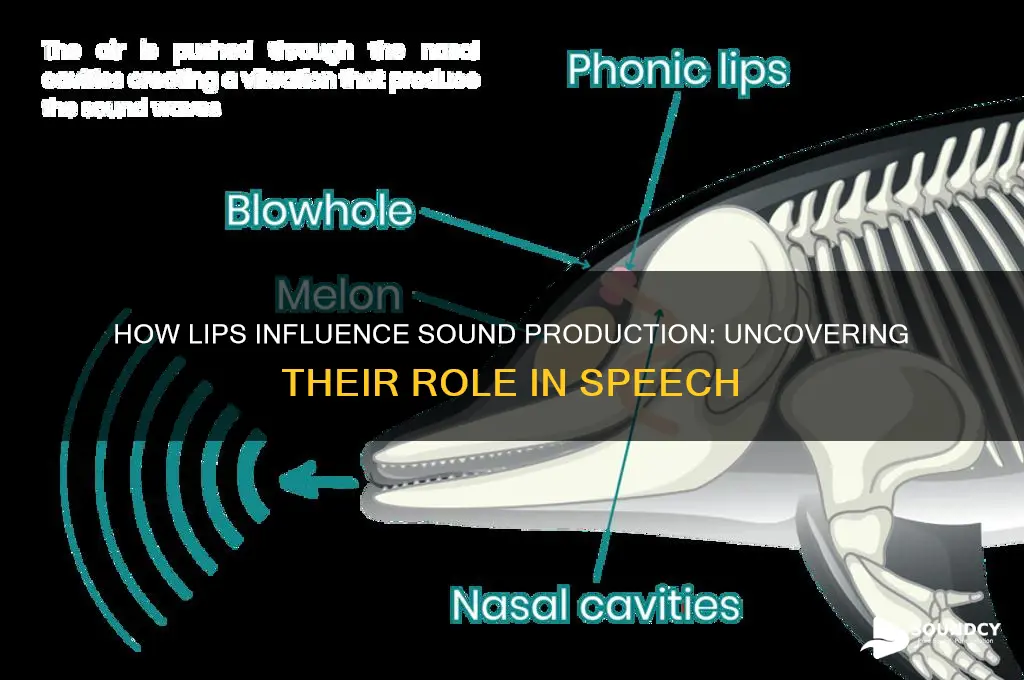 does lips help with sound