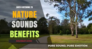 Nature's Sounds: A Natural Remedy for Mind and Body