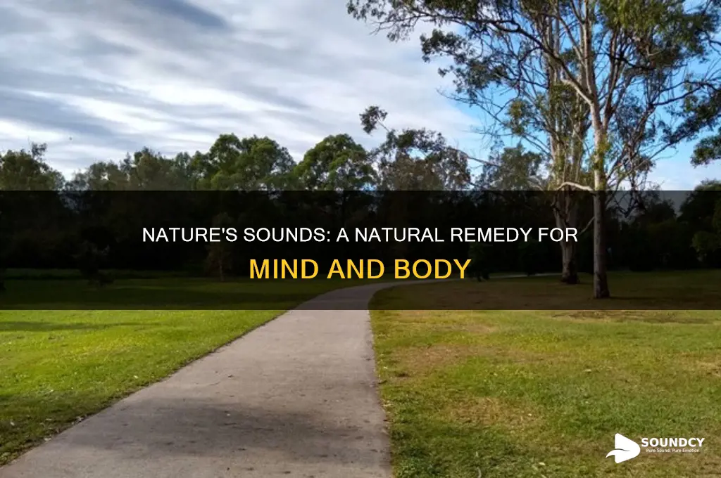 does listening to nature sounds benefits