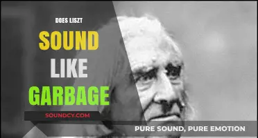 Does Liszt's Music Sound Like Garbage? A Critical Analysis