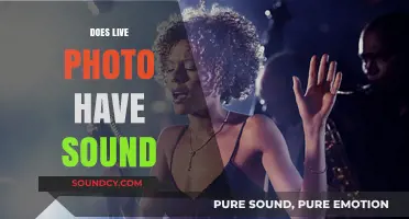 Do Live Photos Capture Sound? Unveiling the Audio Truth