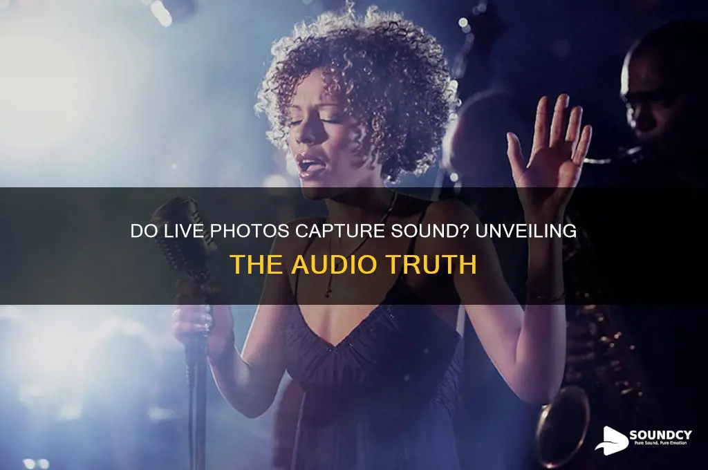 does live photo have sound
