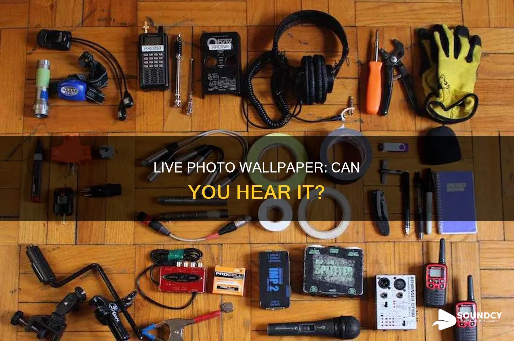 does live photo wallpaper have sound