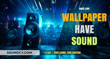 Do Live Wallpapers Include Sound? Exploring Audio in Dynamic Backgrounds