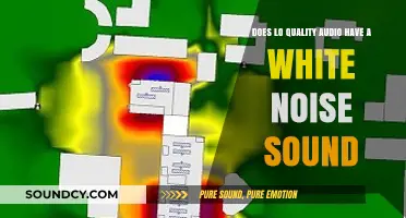 Does Low-Quality Audio Always Include White Noise? Exploring the Truth