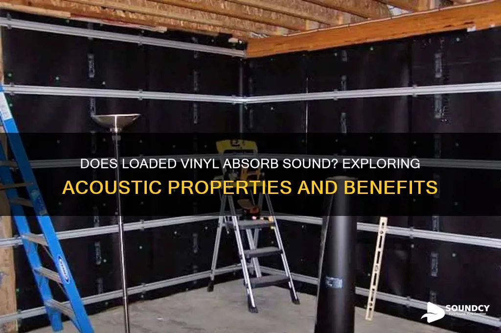 does loaded vinyl absorb sound