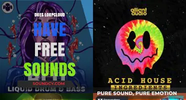 Exploring Loopcloud: Are There Free Sounds Available for Download?