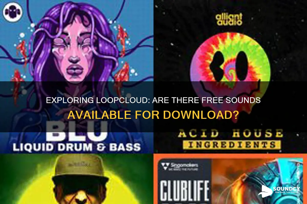 does loopcloud have free sounds