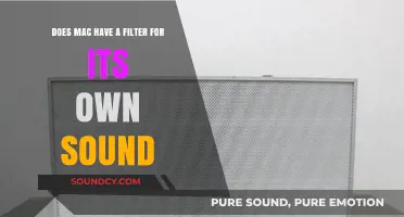 Mac's Built-In Sound Filter: Fact or Fiction? Exploring Audio Options
