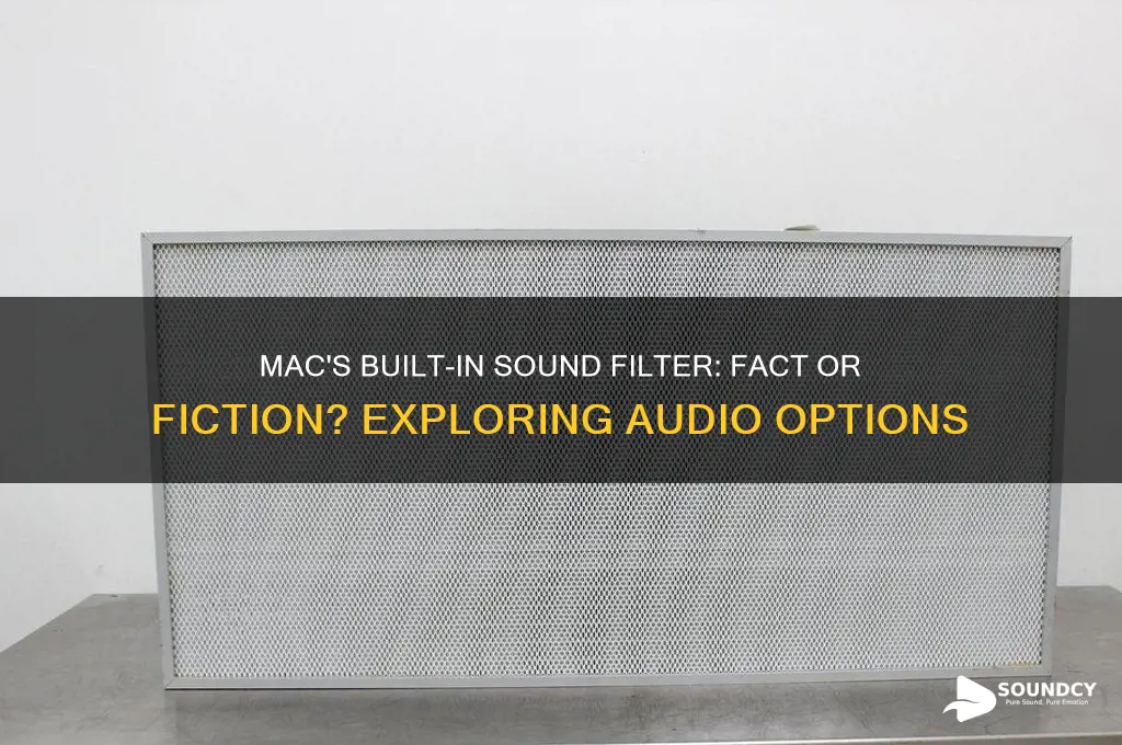 does mac have a filter for its own sound