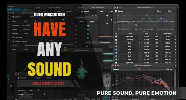 Does Macintosh Have Sound? Exploring Audio Capabilities of Mac Devices