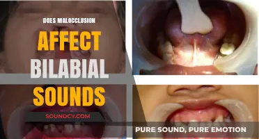 Malocclusion's Impact on Bilabial Sounds: Exploring Speech and Dental Connections