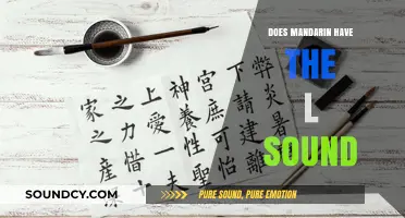 The Elusive 'L' Sound in Mandarin