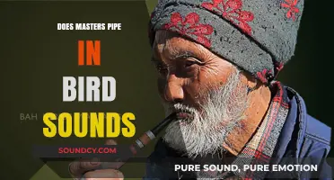 Masters of Pipe Music: The Secret of Birdsong