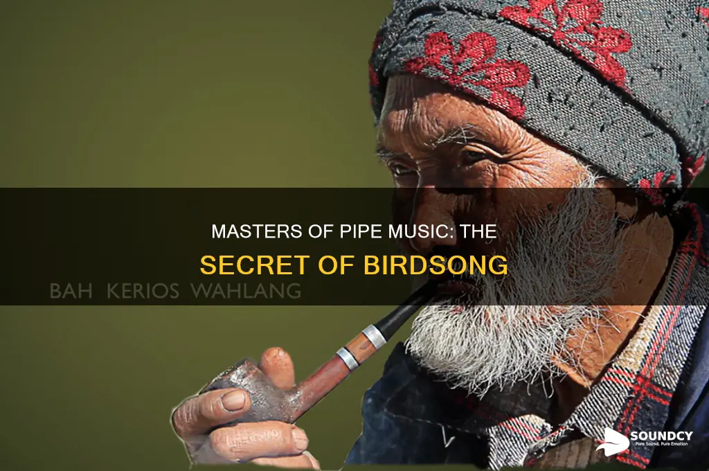 does masters pipe in bird sounds