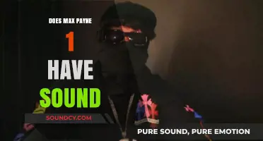Max Payne 1: Does It Have Sound?