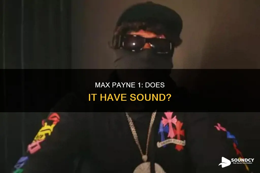 does max payne 1 have sound