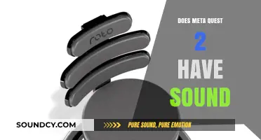 Meta Quest 2: Immersive Audio Experience?