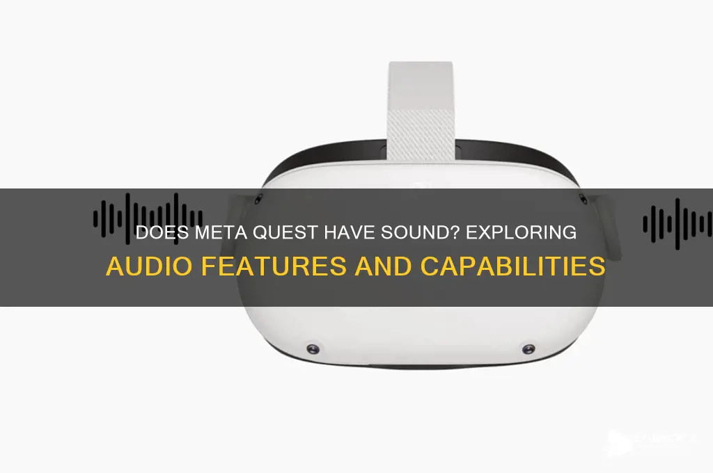 does meta quest have sound