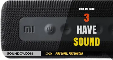 Mi Band 3: Sound or Silence?
