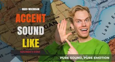 Does the Michigan Accent Sound Like a Midwest Melody or Unique Dialect?