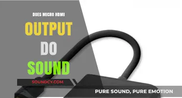 Micro HDMI Output: Does It Carry Audio?