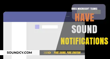 Microsoft Teams: Sound Notifications and How to Use Them