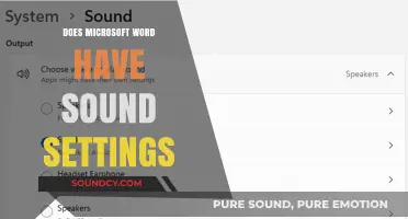 Exploring Microsoft Word: Does It Have Sound Settings?