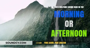 Milford Sound Rainfall Patterns: Morning or Afternoon Showers?