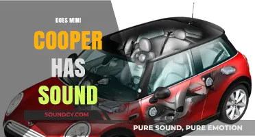 Does the Mini Cooper Have a Distinctive Sound? Find Out Here