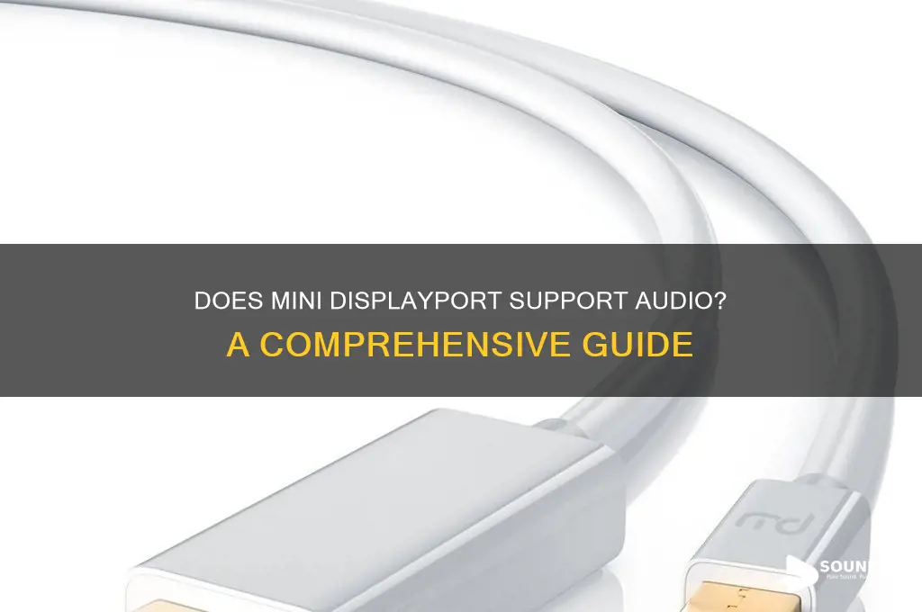 does mini displayport support sound