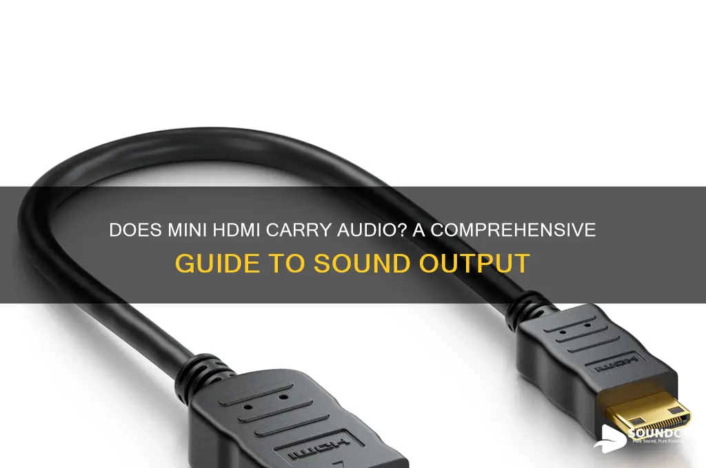 does mini hdmi have sound