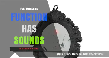 Does Mirroring Function Include Sound Effects? Exploring the Auditory Aspect