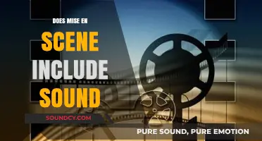 The Art of Mise-en-Scène: Does It Include Sound?