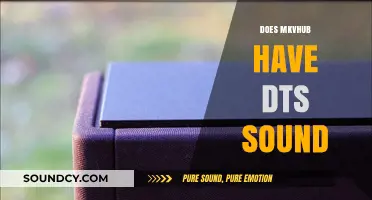 Does MKVHub Offer DTS Sound? A Comprehensive Audio Guide