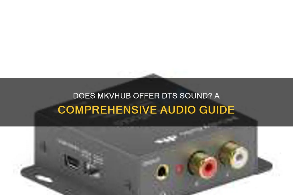 does mkvhub have dts sound